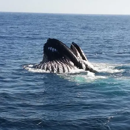 Atlantic Sunset Konukevi Portmagee