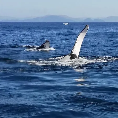 Atlantic Sunset Konukevi