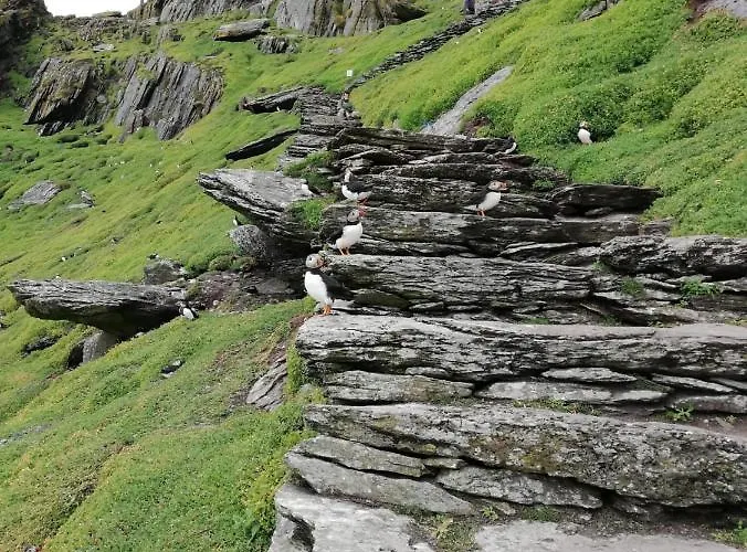 Atlantic Sunset Gasthuis 3*