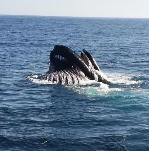 Atlantic Sunset Gasthuis Portmagee