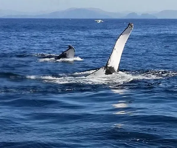 Atlantic Sunset Guest house